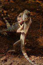 This image is captured on canon 5d Mark3